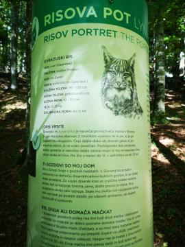 Info tabla na Risovi poti